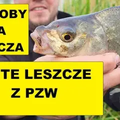 Najlepsze przynęty na leszcza, które zwiększą Twoje szanse na sukces