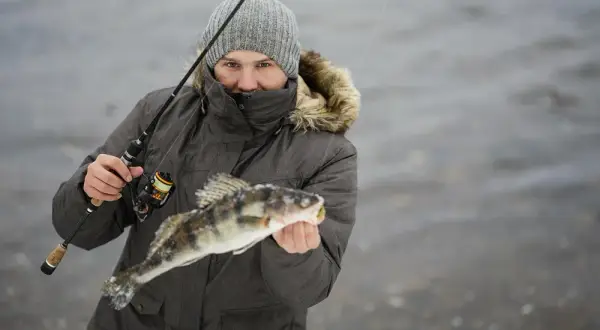 Najlepsze przynęty na sandacza: uniknij nieudanych połowów